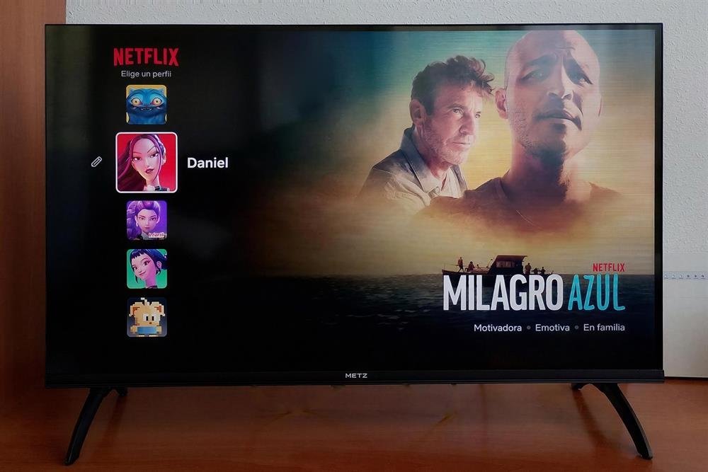 Televisión del salón con Netflix disponible
